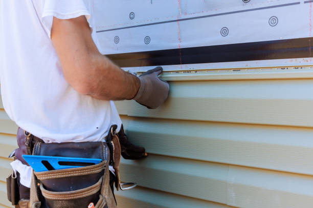 Affordable Emergency Siding Repair solutions in Lithia, FL